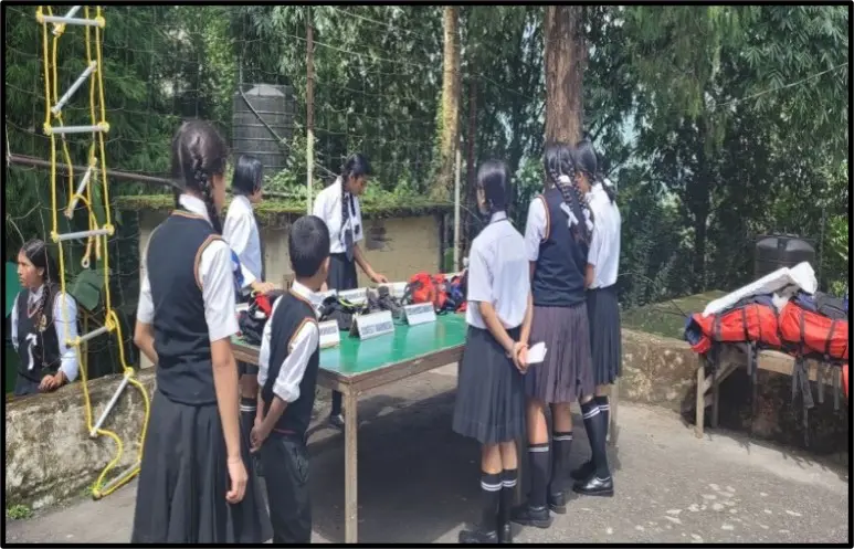 SLCPL Skill Activity
